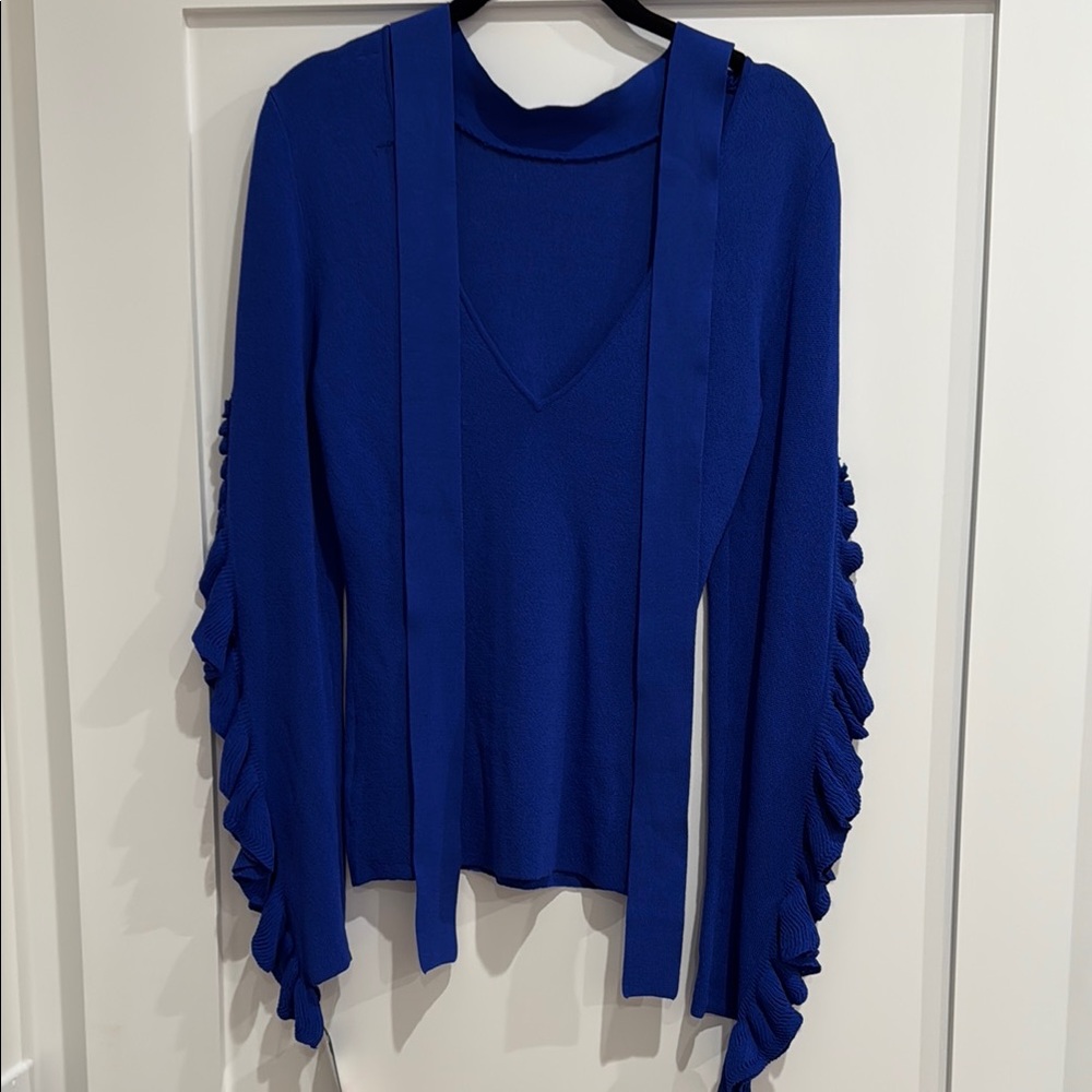 Blue Ruffled Sleeve Sweater